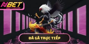 đá gà trực tiếp