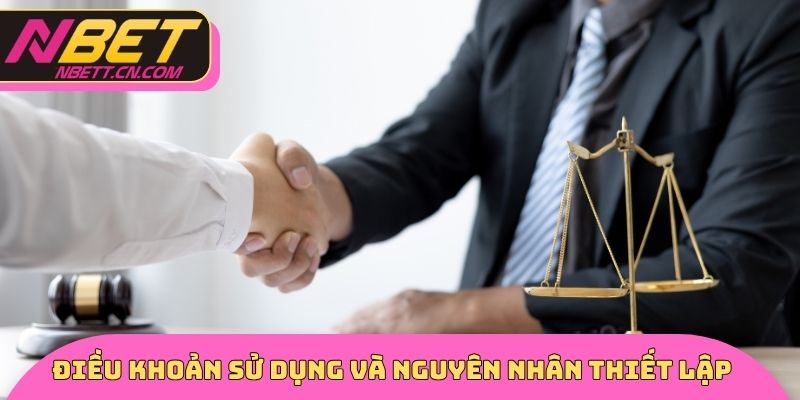 Điều khoản sử dụng và nguyên nhân thiết lập