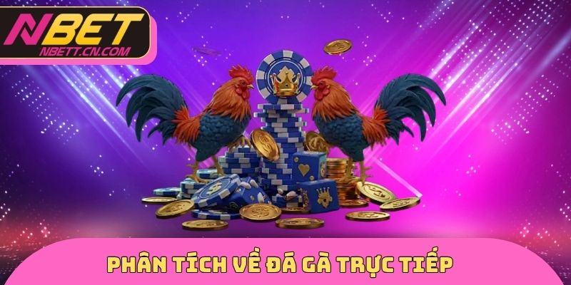Phân tích về đá gà trực tiếp